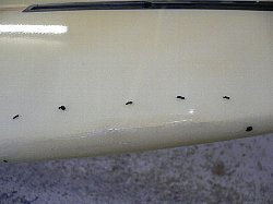 �|���G�X�e�� ���C�� �����O 2_1